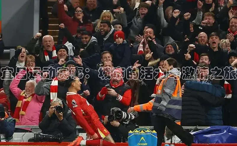 新宝gg创造奇迹平台总代理壹网壹创