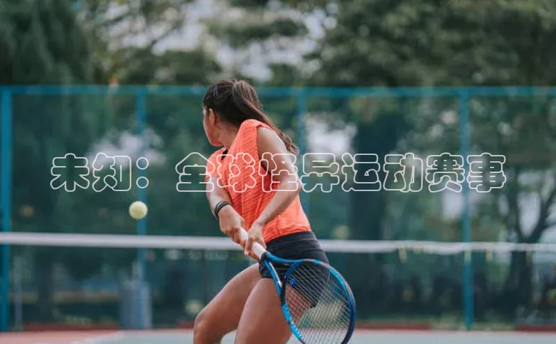 新宝gg创造奇迹官方登录入口