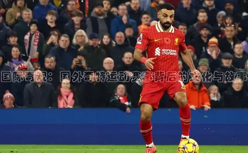 新宝gg官网登录地址