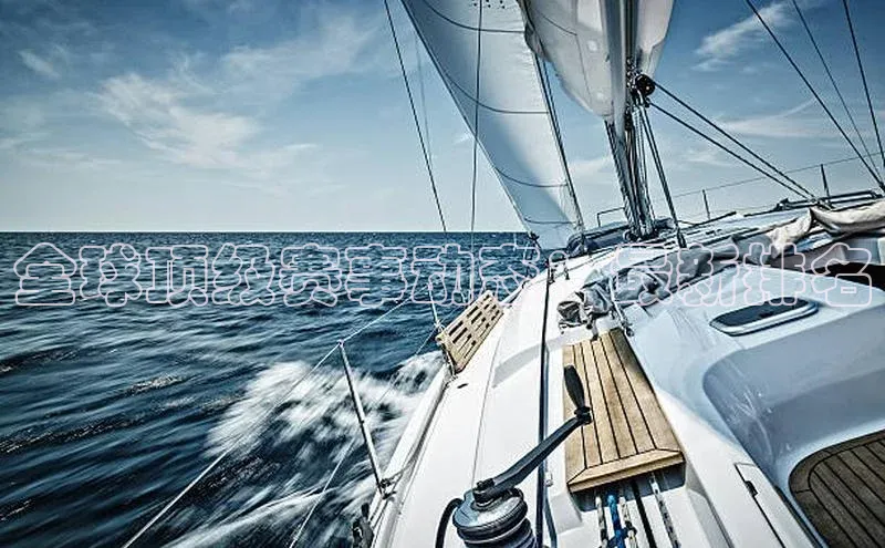 新宝网站登录入口