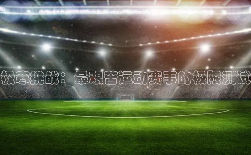 新宝网站登录入口