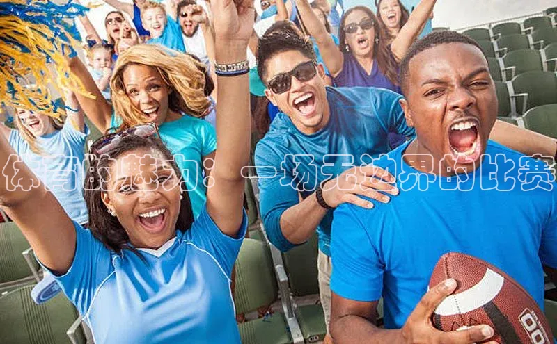 新宝网站登录入口