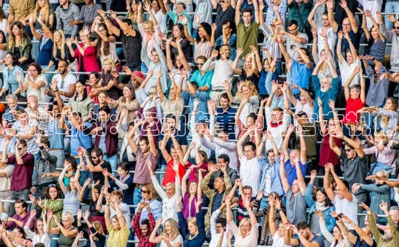 新宝网站登录入口